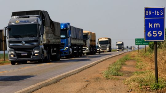 Motoristas das categorias C D e E exame toxicológico vencido têm