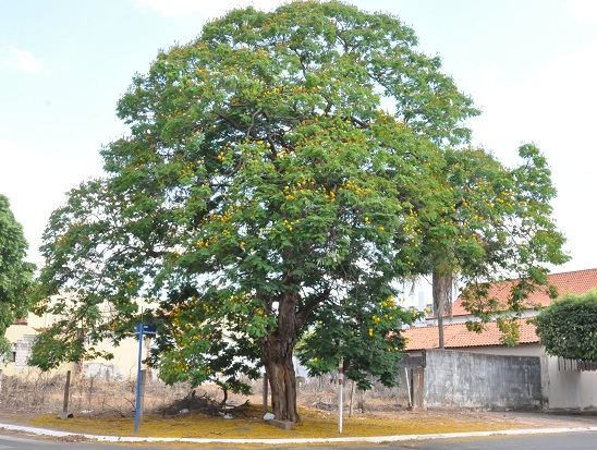 Foto: GazetaMT