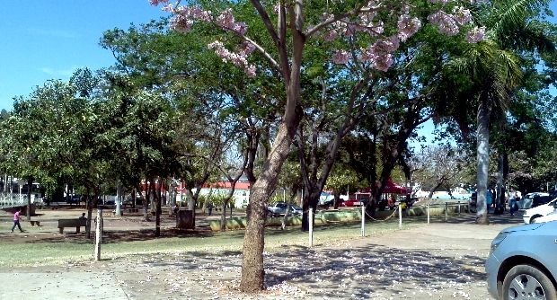 Na Praça Brasil - Foto: GazetaMT