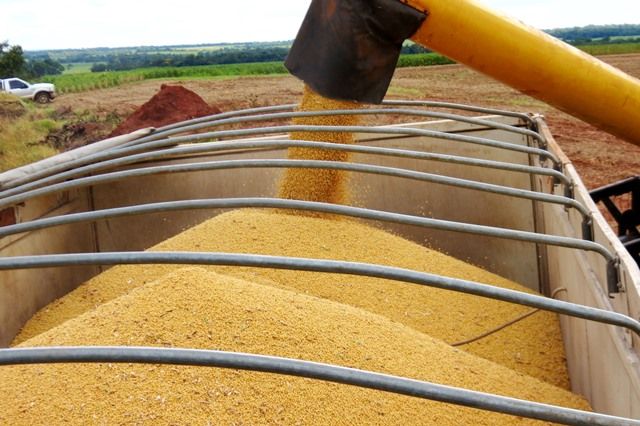Em 2014, a soja em grãos fez entrar US$ 21,4 bilhões na balança comercial brasileira. Foto - Internet