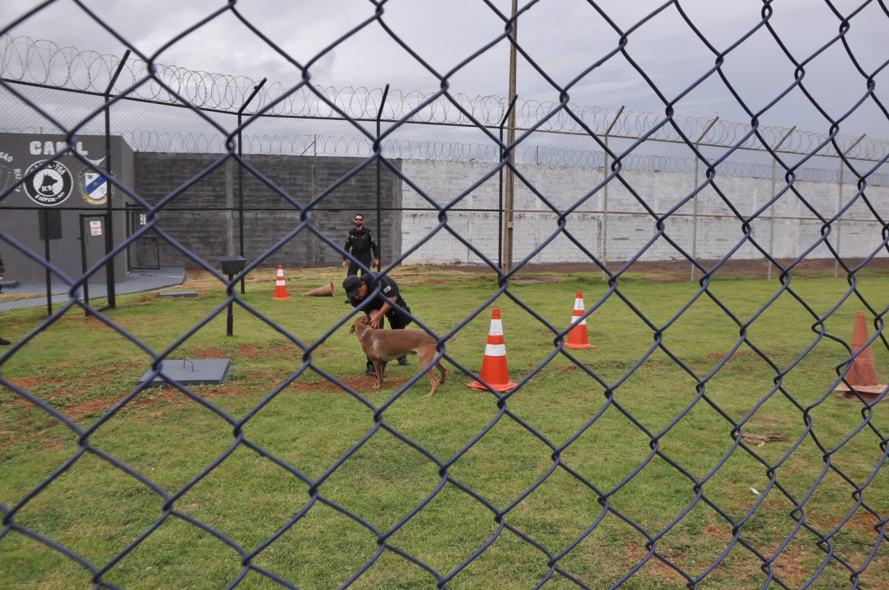 A proposta &eacute; refor&ccedil;ar a seguran&ccedil;a interna e externa dos estabelecimentos penais. (Foto: divulga&ccedil;&atilde;o Sejudh/MT)