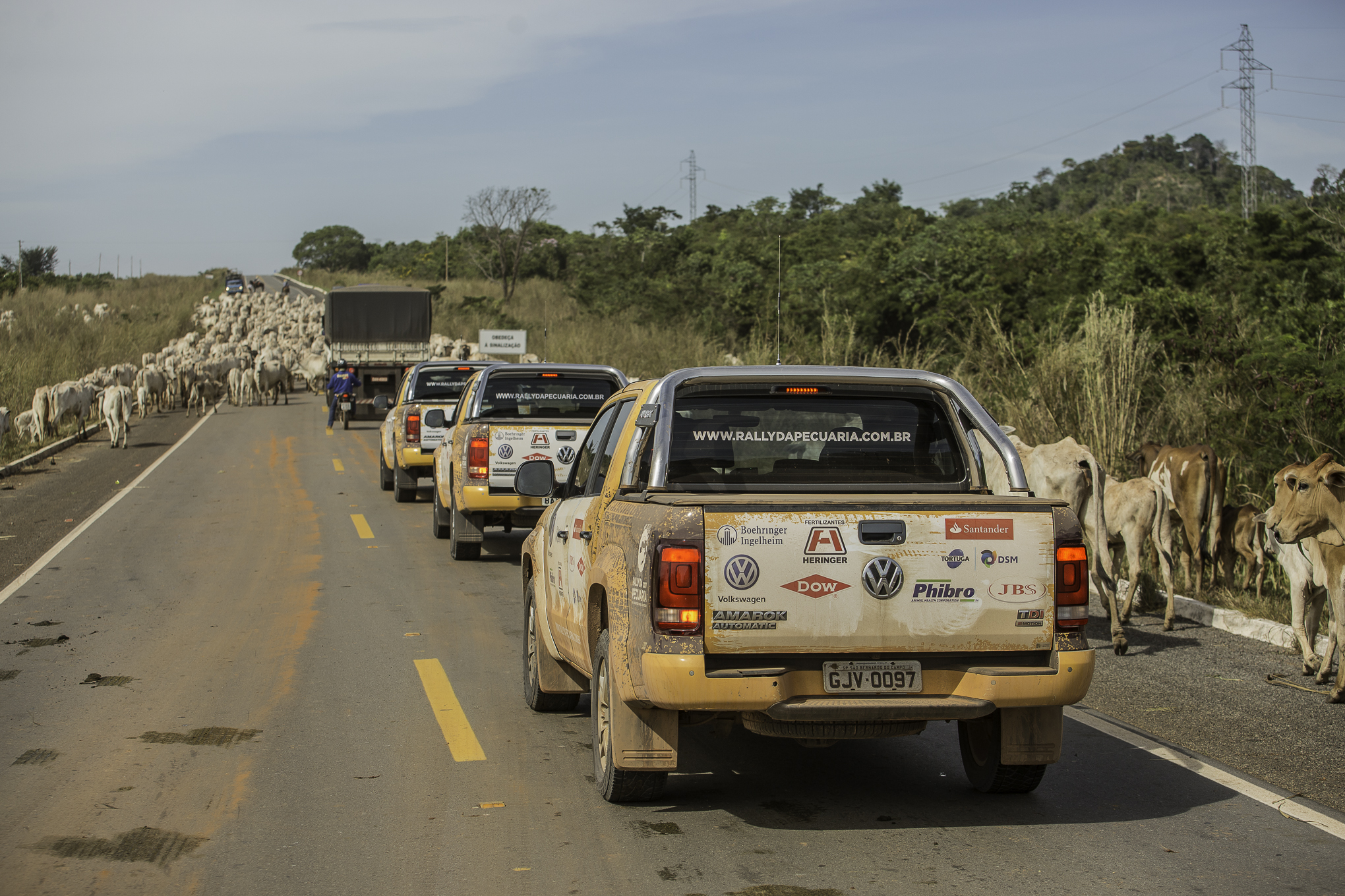 Rally percorre v&aacute;rios Estados levando novas tecnologias para a pecu&aacute;ria. Foto: Assessoria
