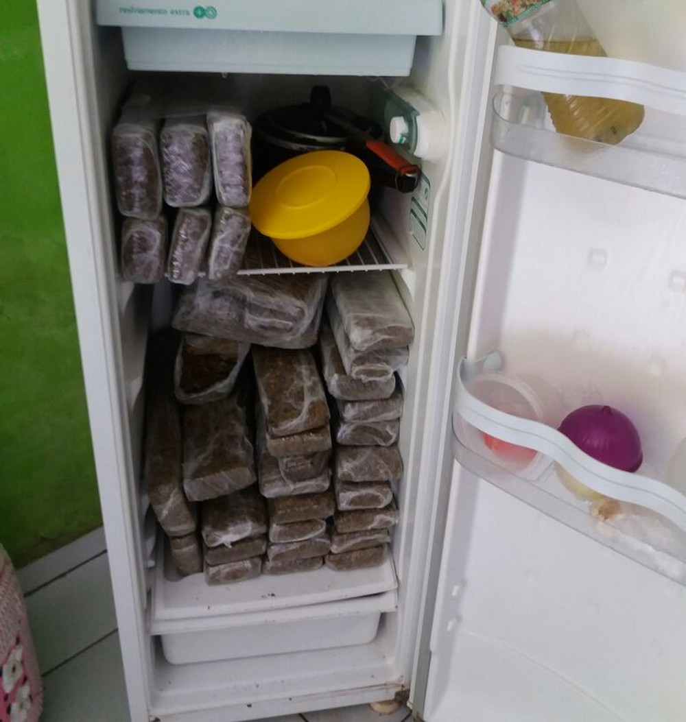 Tabletes da droga escondidos em geladeira. Foto: divulgação PM/MT.