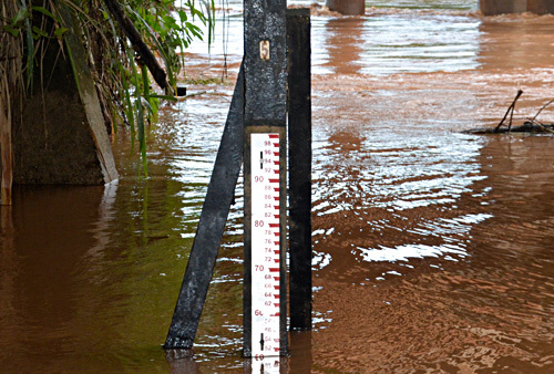 Rio Vermelho passa em 20 cm, o n&iacute;vel de alerta e previs&atilde;o &eacute; de chuva neste fim de semana Foto: Emerson Dourado/GazetaMT
