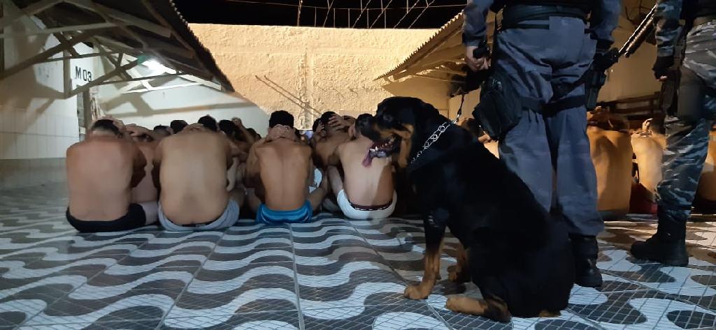 Divulga&ccedil;&atilde;o 