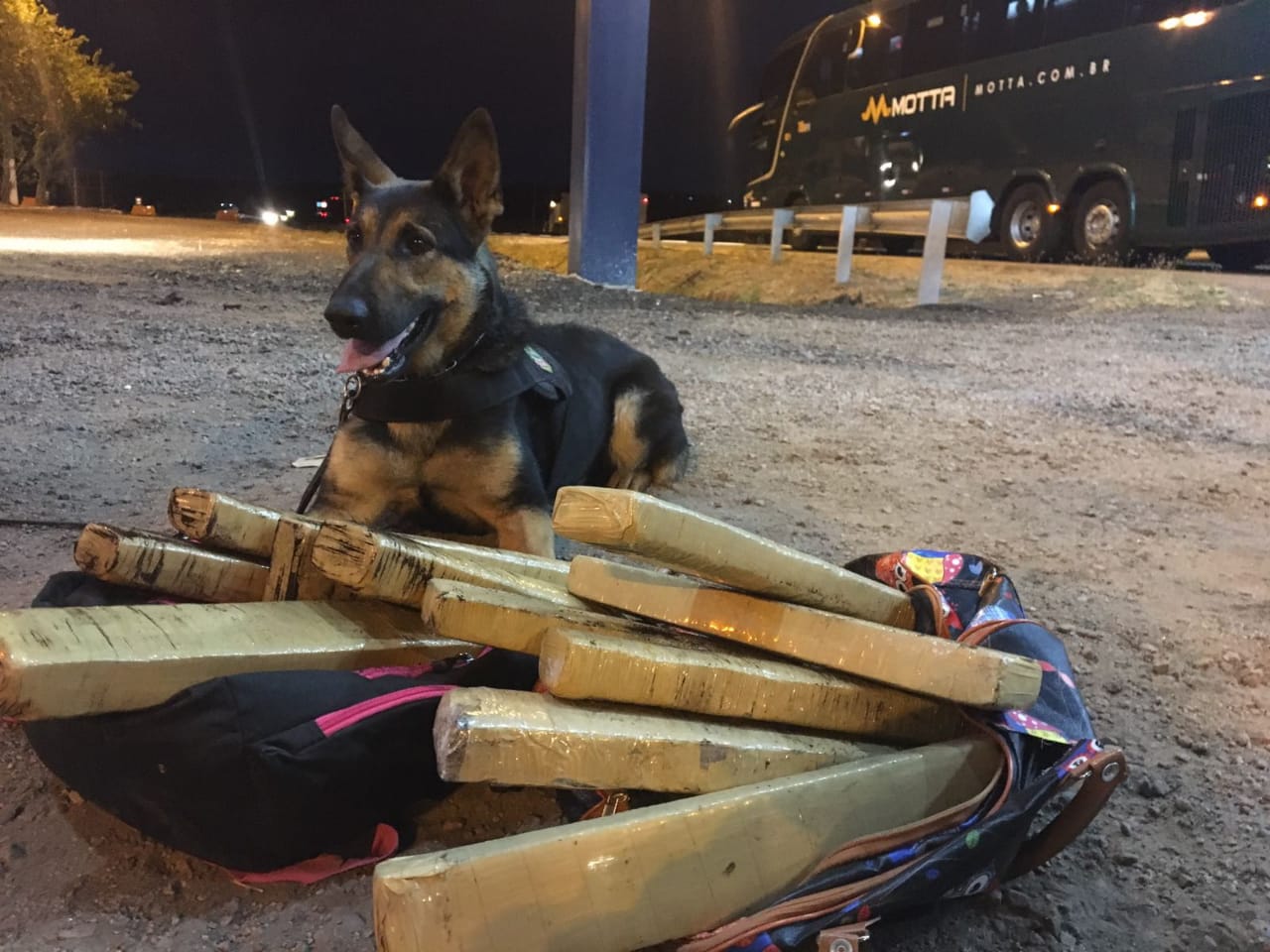 Droga apreendida pela pol&iacute;cia com o a passageira. (Foto: divulga&ccedil;&atilde;o PRF/MT)