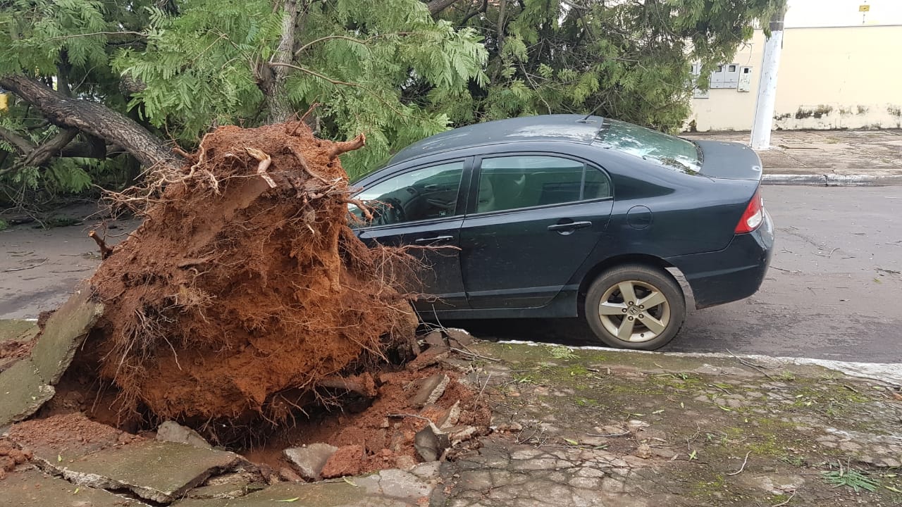 Ve&iacute;culo atingido pela &aacute;rvore cruzamento da Avenida Cuiab&aacute; com a Rua Pedro Ferrer. (Foto: rede social)