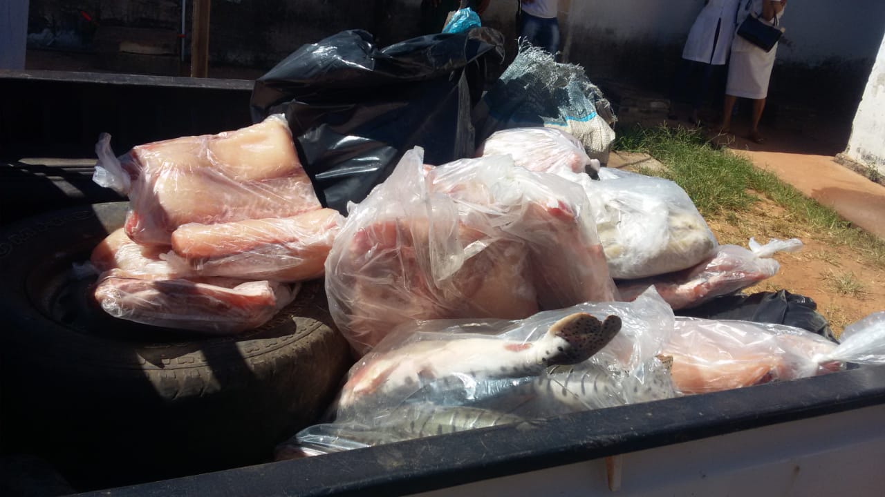 As esp&eacute;cies apreendidas foram de Cachara, Tambaqui, Tucanar&eacute; e Manta de Pirarucu. (Foto: divulga&ccedil;&atilde;o PM/MT)