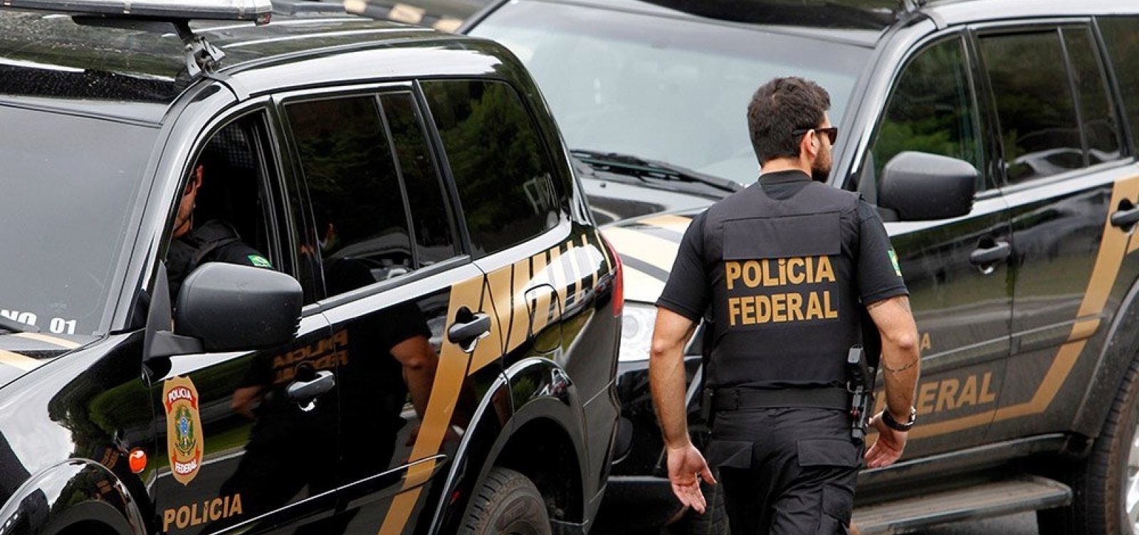 Reprodu&ccedil;&atilde;o 