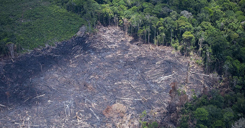 Foto: Reprodu&ccedil;&atilde;o