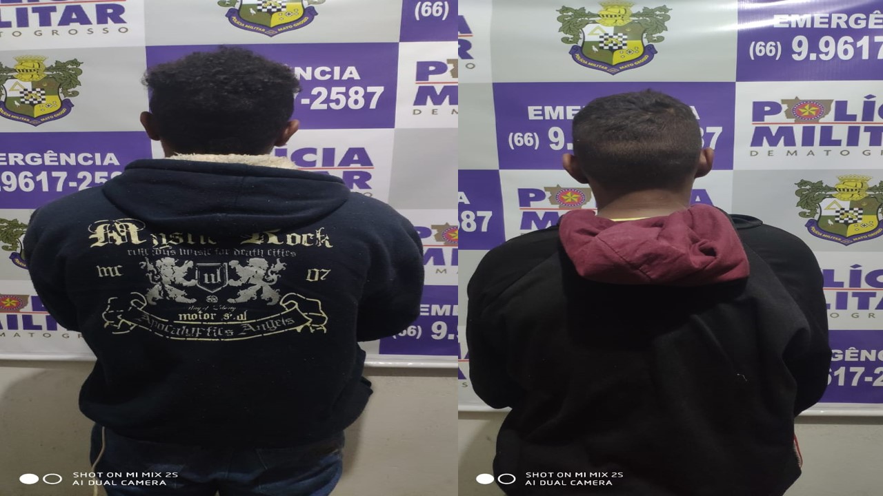 Divulga&ccedil;&atilde;o / Montagem 