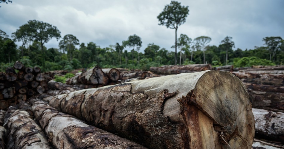 Foto: Reprodu&ccedil;&atilde;o