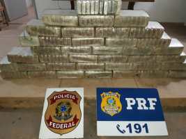Entorpecente apreendido pelas for&ccedil;as policiais. (Foto: divulga&ccedil;&atilde;o PRF/MT)