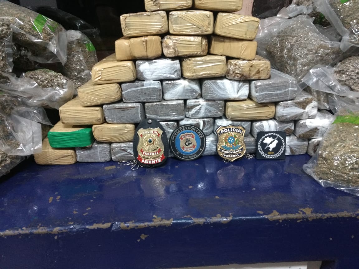 Divulga&ccedil;&atilde;o / PRF