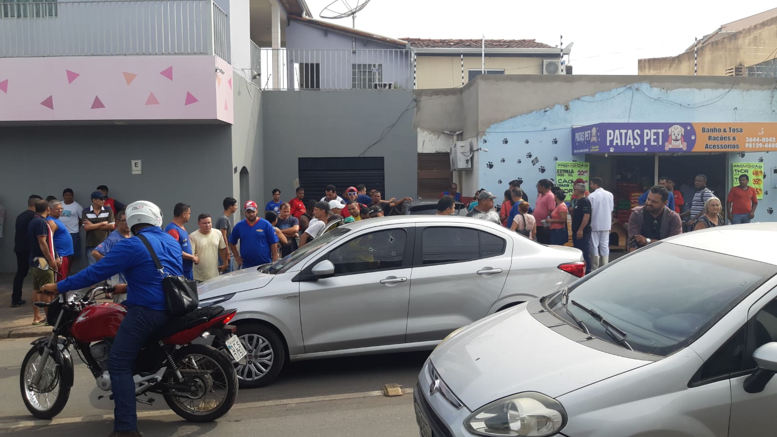 Reprodu&ccedil;&atilde;o 