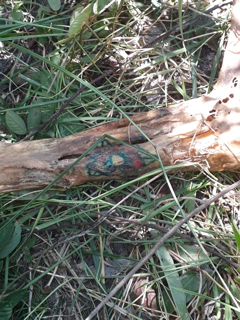Uma tatuagem em uma das pernas da v&iacute;tima deve auxiliar na identifica&ccedil;&atilde;o do cad&aacute;ver. (Foto: divulga&ccedil;&atilde;o)