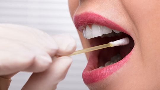 Saliva permite medir a porcentagem de gordura corporal