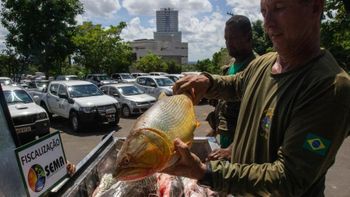 Contra boatos, Sema alerta que pesca do dourado segue proibida