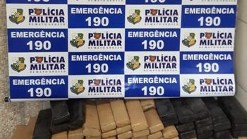 Dois homens são presos e 200 kg de maconha apreendidos em ação conjunta
