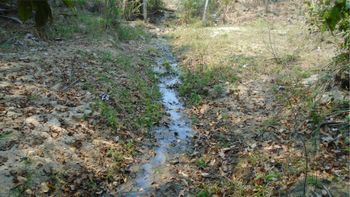 Pacto em defesa das cabeceiras do pantanal já cercou 11 nascentes em Jauru