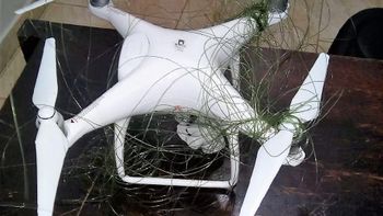 Agentes apreendem drone com celulares que sobrevoava a Mata Grande