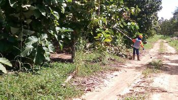 Atividades de ressocialização envolvem mais de 4 mil reeducandos