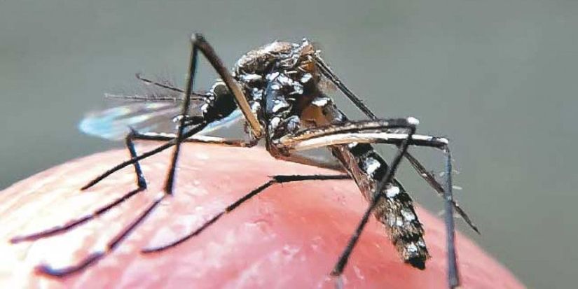 Governo coopera com Várzea Grande no enfrentamento à chikungunya