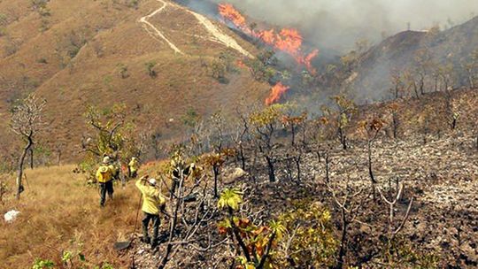 Comitê do fogo leva proposta de brigada mista para 28 municípios