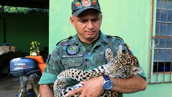 Policiais do Batalhão Ambiental salvam 159 animais em 2017