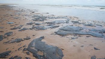 Exames mostram que pescado pode ser consumido