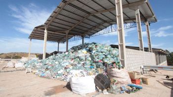MPT comemora avanço na inclusão de catadores de materiais recicláveis 