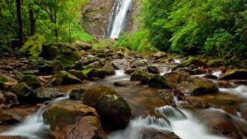 Perto de completar cinco anos, Código Florestal ainda tem pontos a implementar