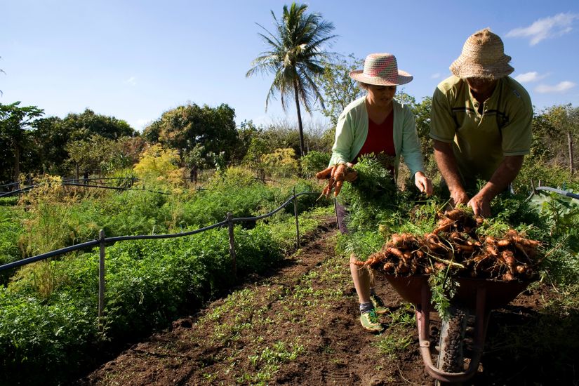 MT monta força operacional para levantar dados da agricultura familiar