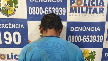 Bandido acusado de furtar padaria é preso ao ser flagrado escondido em arvore 