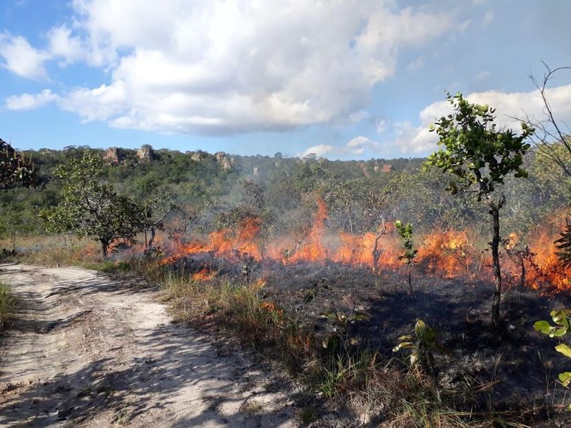 Período mais severo de seca acende alerta para prevenção de incêndios na vegetação