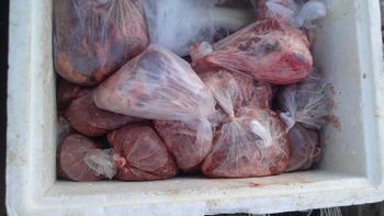 Suspeitos são flagrados com mais de 30 kg de carne de animais silvestres