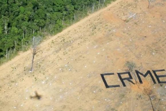 Tribunal Penal Internacional reconhece 'ecocídio' como crime contra a Humanidade