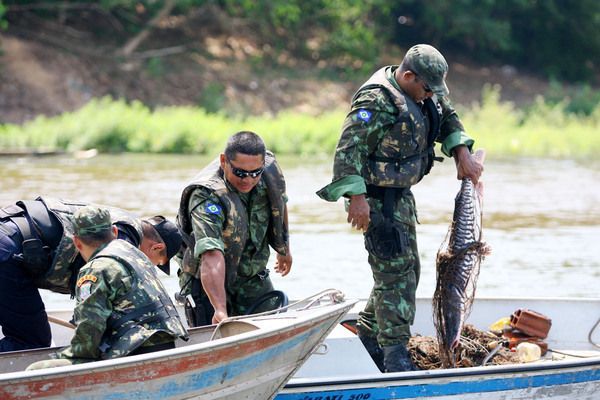 Sema apreende 932 kg de pescado no fim de abril