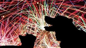 Por respeito aos animais, queima de fogos terá barulho reduzido em 50% no réveillon