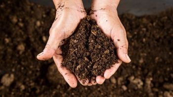 Secretaria Municipal de Agricultura e Pecuária lança programa “Solo Forte” nesta quinta