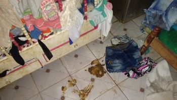 Crianças com idades entre 1 e 8 anos são resgatadas em meio a lixo e fezes em MT