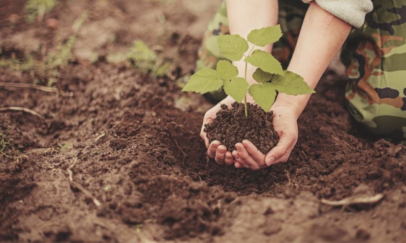 Senar abre mais de três mil vagas para o curso técnico de agronegócio