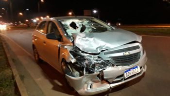 Adolescente é atropelado e morto ao tentar atravessar rodovia em MT 