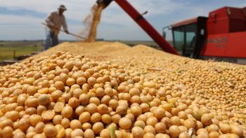 Colheita da soja finaliza em parte do Estado
