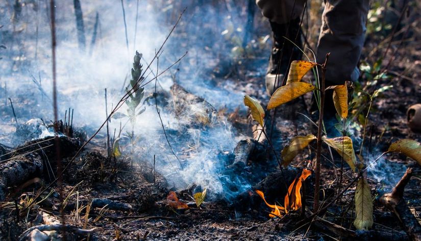 Dema instaura 145 procedimentos investigativos por crimes de degradação ambiental em MT