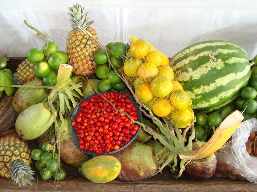 Exército abre chamadas para compra de alimentos da agricultura familiar em MT