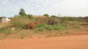 Fiscalização já notificou 1.430 donos de terrenos sujos para garantir limpeza da cidade