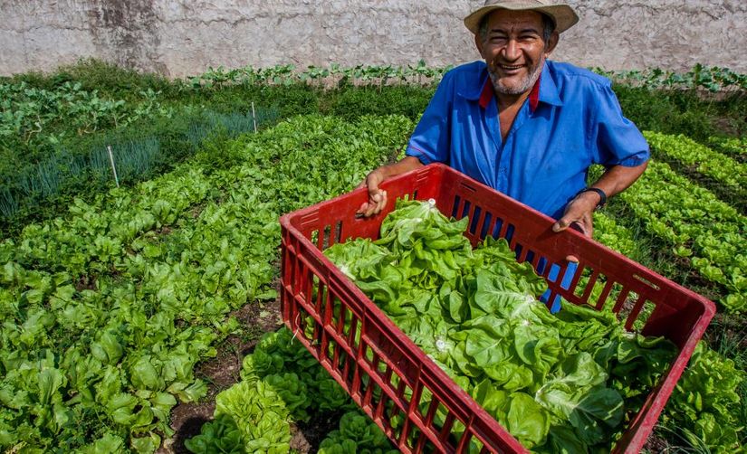 Governo do Estado sanciona lei que define turismo rural