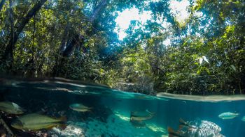 Turismo sustentável é tema da 13ª edição da Semana do Meio Ambiente