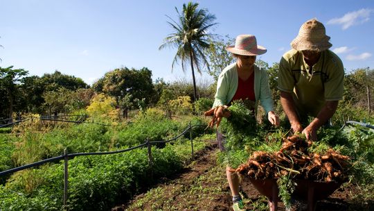 Governo investe mais de R$ 15 milhões na Agricultura Familiar
